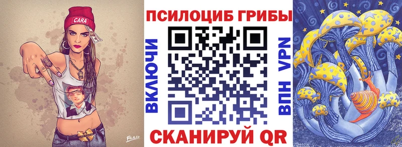 закладка  Ессентуки  Галлюциногенные грибы мухоморы 